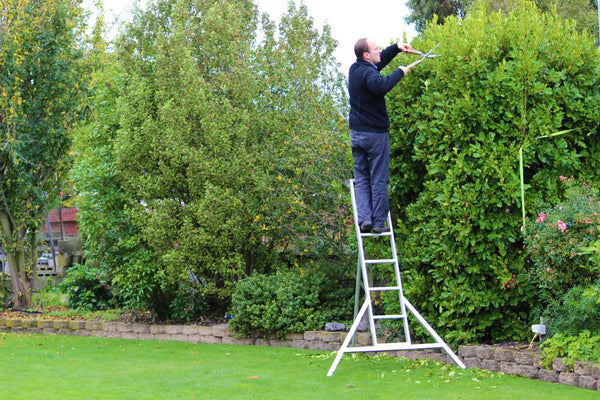 When is the Best Time to Prune Trees & Shrubs? - BLS Ladders