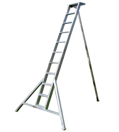 Orchard Ladders