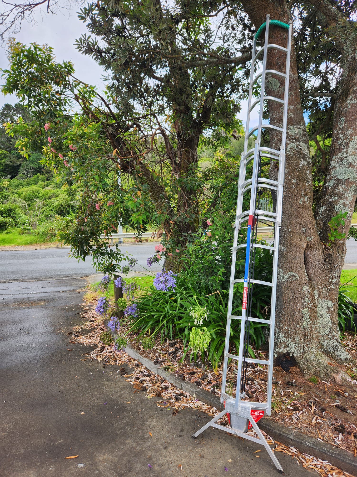 3D Climbing Frame Extension Ladders - BLS Ladders