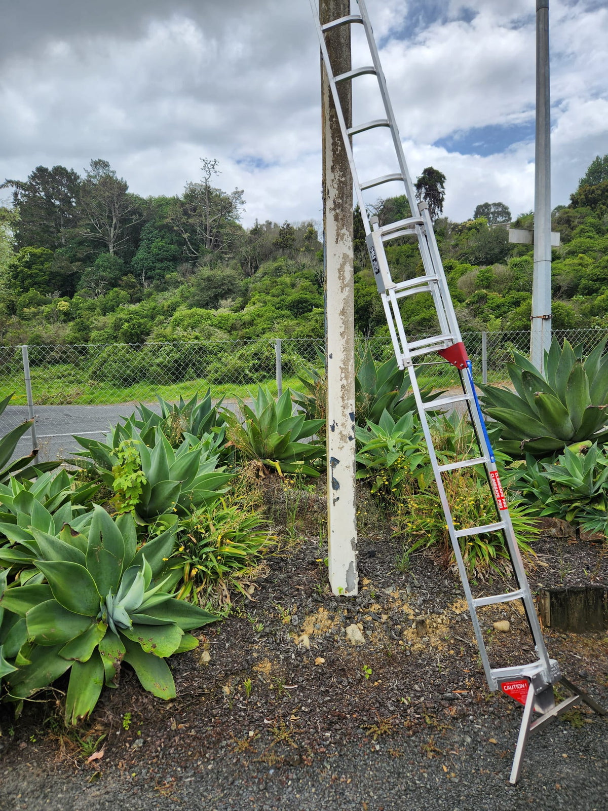 3D Climbing Frame Extension Ladders