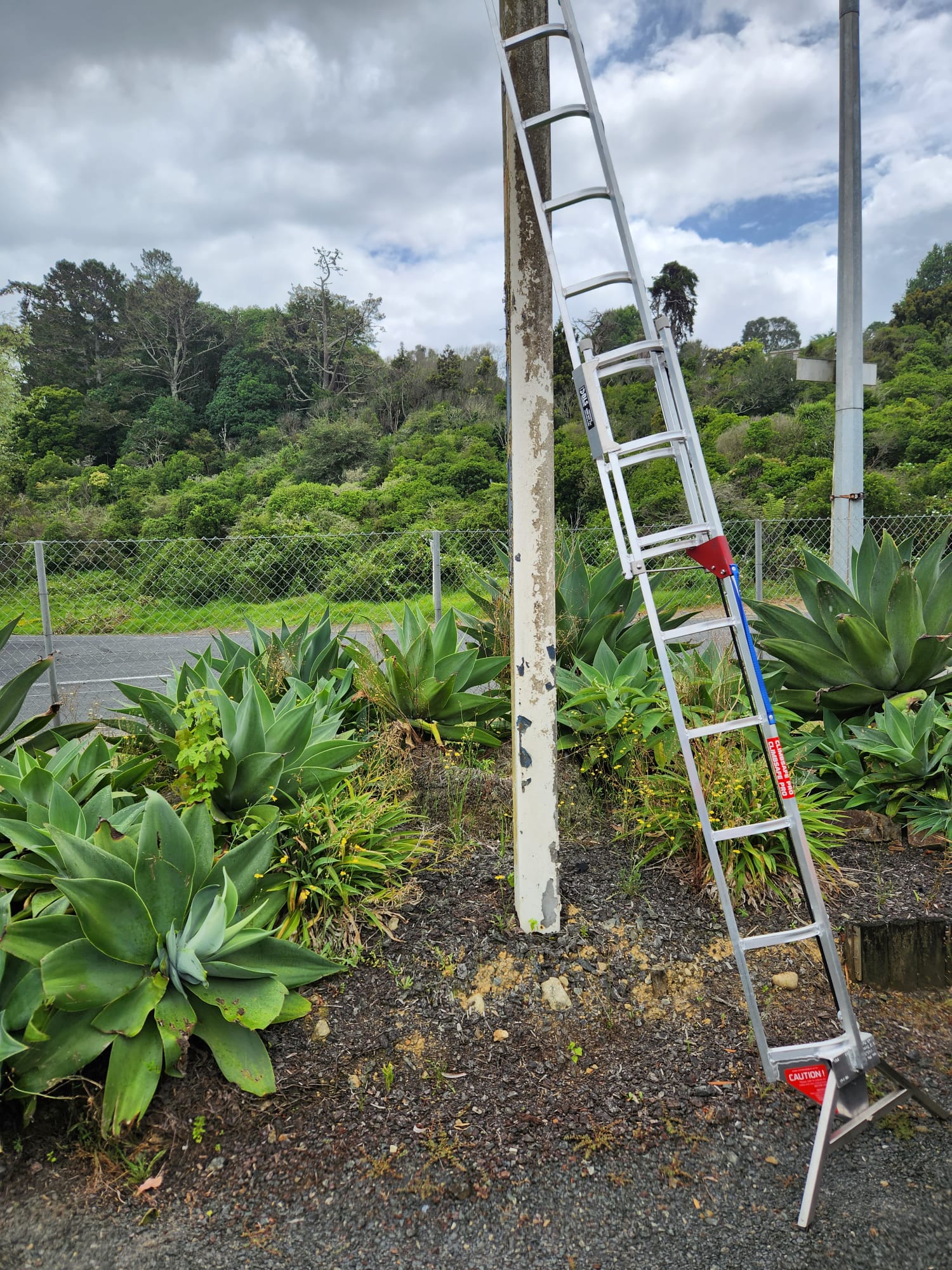 3D Climbing Frame Extension Ladders - BLS Ladders