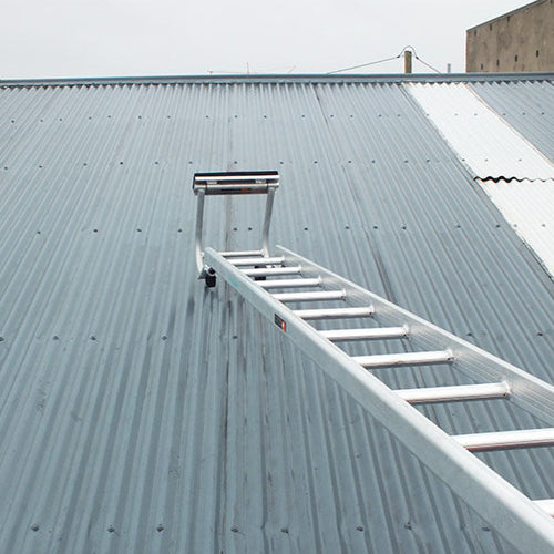 Industrial Roof Ladder