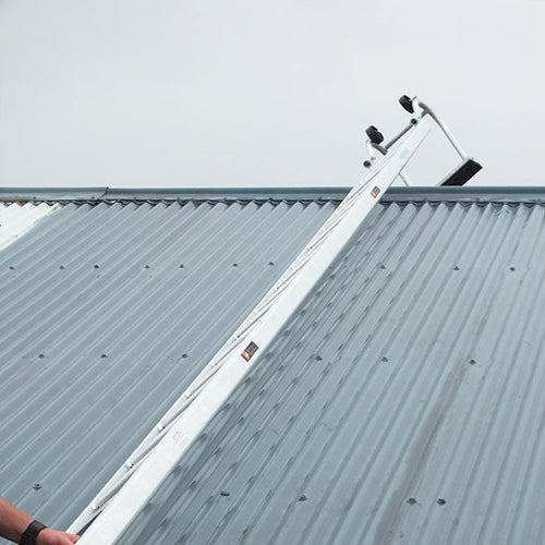 Industrial Roof Ladder