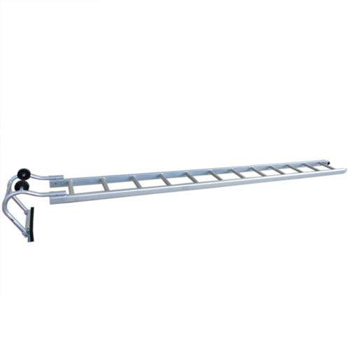 Industrial Roof Ladder