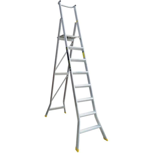 Warthog Platform Ladders