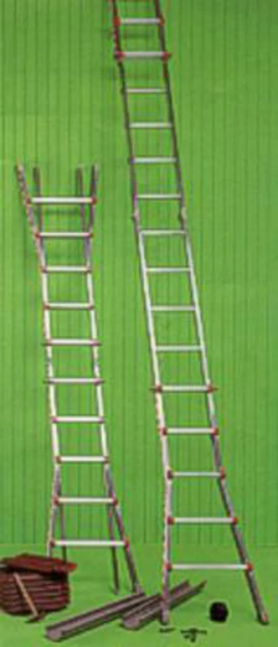 The Waku Telescopic Ladder
