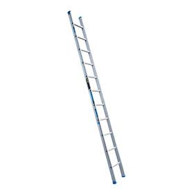 Easy Access Single Ladders D Stile