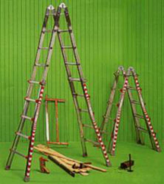 The Waku Telescopic Ladder